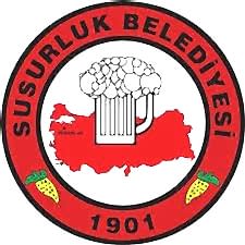 susurluk2.jpg (14 KB)