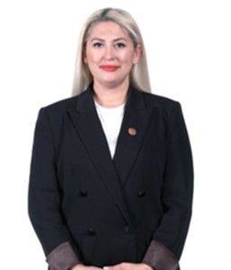 meclis