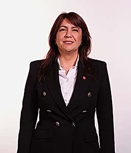 meclis