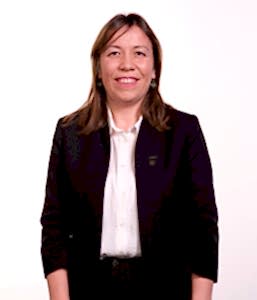 meclis