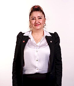 meclis